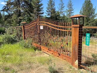 8603 Bluebonnet Ln, Somerset, CA 95684