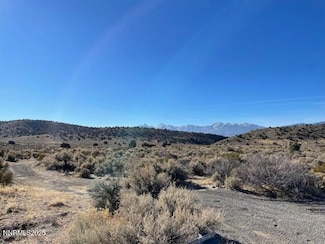 0 Sunrise Pass Rd Unit 250052111, Minden, NV 89423
