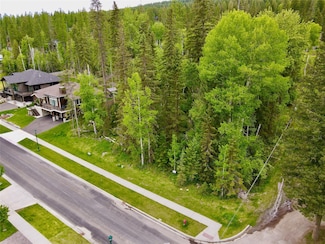 754 Icehouse Rd, Whitefish, MT 59937