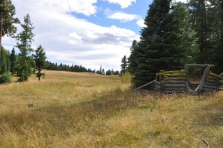 660 Buzzard Lake Rd, Okanogan, WA 98840