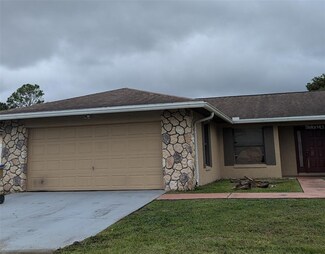202 Cobalt Dr, Kissimmee, FL 34758