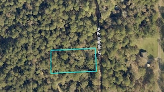 0 Bob Wahle Ln, Coldspring, TX 77331