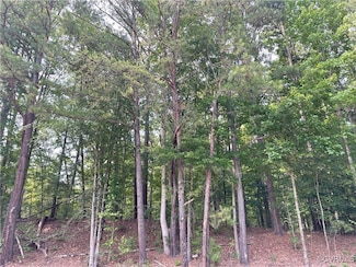 2940 Anderson Hwy, Powhatan, VA 23139