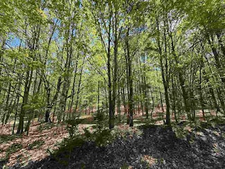 0 Coulter Creek Trail Unit 476480, Central Lake, MI 49622