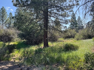 0 Lakeland Rd Unit Lot 17 220204176, Chiloquin, OR 97624