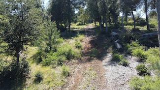 000 Toyon Mountain Ln Unit 14, Julian, CA 92036