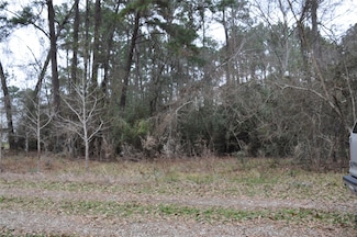 0 000 Private Rd Unit 11671694, Magnolia, TX 77354