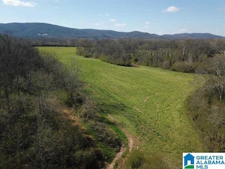 28 Acres Highway 9 Unit 28 Acres, Anniston, AL 36207
