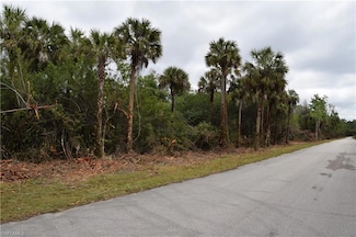 4740 30th Ave SE, Rural Estates, FL 34117