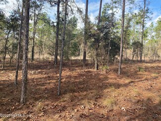 LOT 20 SW Buena Vista Rd, Rainbow Lakes Estates, FL 34431