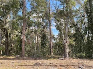 0 Locust Dr Unit MFROM699257, Ocala, FL 34472