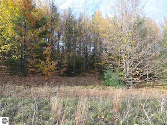 Lot 98 Eden St Unit 98, Kingsley, MI 49649