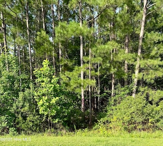 111 Marie Ct, Havelock, NC 28532