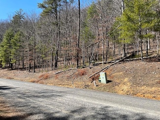 TBD New River Oaks Dt, Austinville, VA 24312
