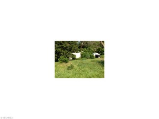 45988 Clarkson Rd, Rogers, OH 44455