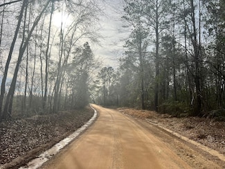 0 Strickland Rd, Waynesboro, MS 39367