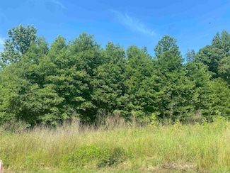 Lot 24 Cinel Loop, Austin, AR 72007