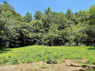 0 Ogle Dr Unit 1314572, Pigeon Forge, TN 37863