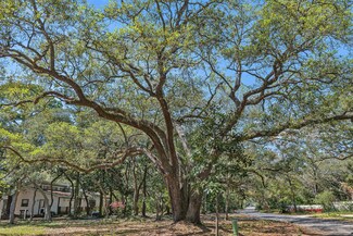 20 Adair Ln, Santa Rosa Beach, FL 32459