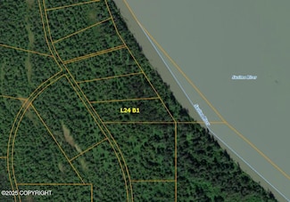 L24 B1 Susitna River (No Road), Skwentna, AK 99667