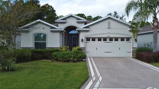 9933 Saunton Dr, San Antonio, FL 33576