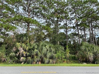 7860 W Homosassa Trail, Homosassa, FL 34448