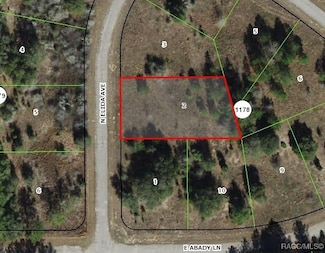 8823 N Elida Ave, Citrus Springs, FL 34434