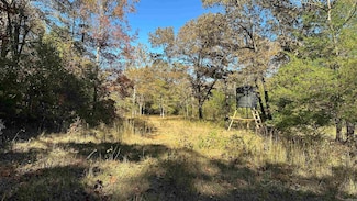 000 Schales Rd, Poughkeepsie, AR 72569