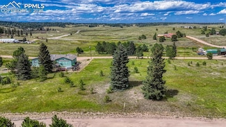 1129 Will Scarlet Dr, Divide, CO 80814