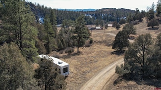 X Piper Place, Pagosa Springs, CO 81147