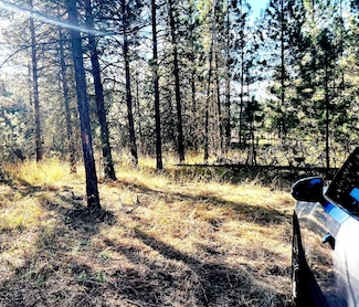 0 Elo Rd, McCall, ID 83638