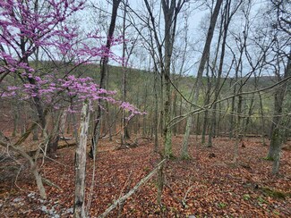 29 Thistle Ridge Dr, Romney, WV 26757