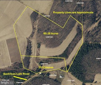 0 Beckman Lohr Rd, Swanton, MD 21561
