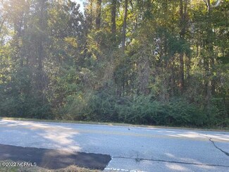 0 N Timberly Ln Unit 100354901, Burgaw, NC 28425