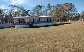 16477 169th Place, Mc Alpin, FL 32062