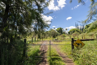 17-4794 Ike Onipaa Rd, Mountain View, HI 96771