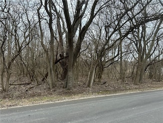 0 Put-In-bay Rd, Put-In-bay, OH 43456