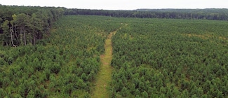 Ammon Rd, Ford, VA 23850