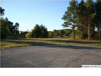 1578 The Meadows Cir Unit 11, Kimberly, AL 35091