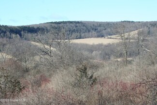 00 Sunny Knolls Ln, Schoharie, NY 12157