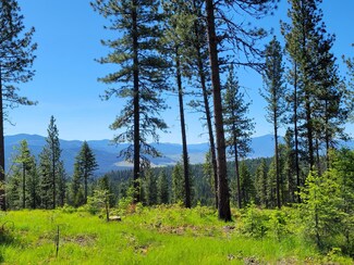 312 Little Thompson River Rd, Plains, MT 59859