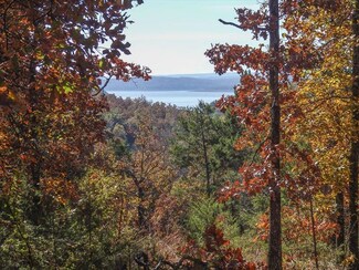 Tba Pine Hollow Rd, Protem, MO 65733