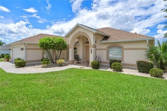 4418 N Lake Vista Trail, Hernando, FL 34442