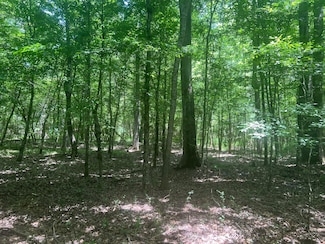 2291 Springhill Church Rd, Shubuta, MS 39360