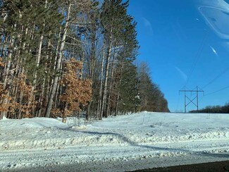 38 Acres Burma Rd, Mosinee, WI 54455