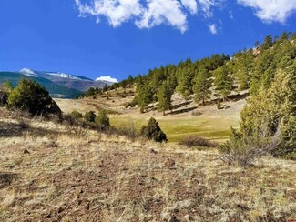 150 Fairway Ridge Ln, South Fork, CO 81154
