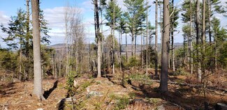 Lot #45 Davenport Hill Rd, Jay, ME 04239