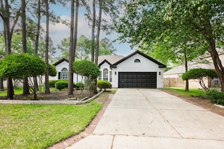 22 S Lace Arbor Dr, Spring, TX 77382