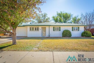 1310 Meadow Ln, Roswell, NM 88203