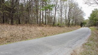0 Wilkins Chapel Rd, Mount Pleasant, MS 38635